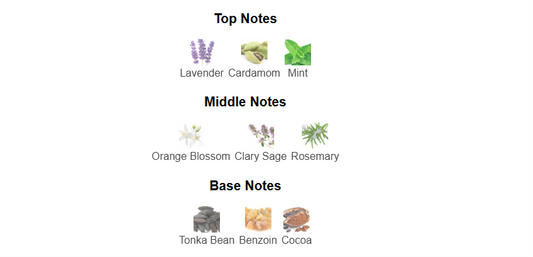 Tonic Malt by Maison Alhambra – 1ml Sample Decant