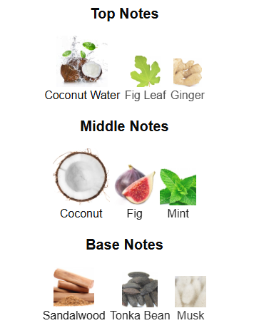 Hawas Tropical By Rasasi – 1ml Sample Decant