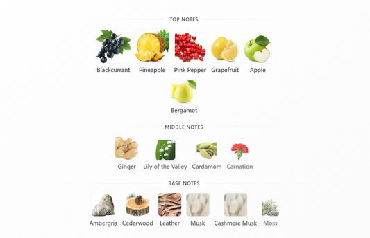 Vanguard by Maison Asrar – 1ml Sample Decant