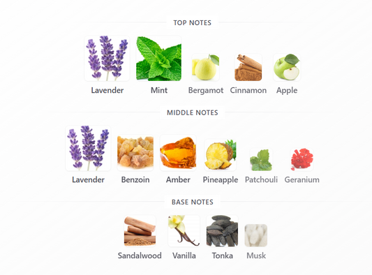 Soprano Vivid by Dumont - 1ml Sample Decant