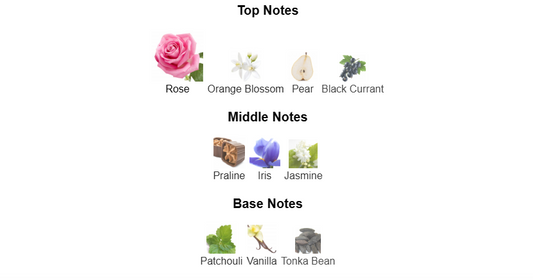 Dirham Wardi by Ard Al Zaafaran – 1ml Sample Decant