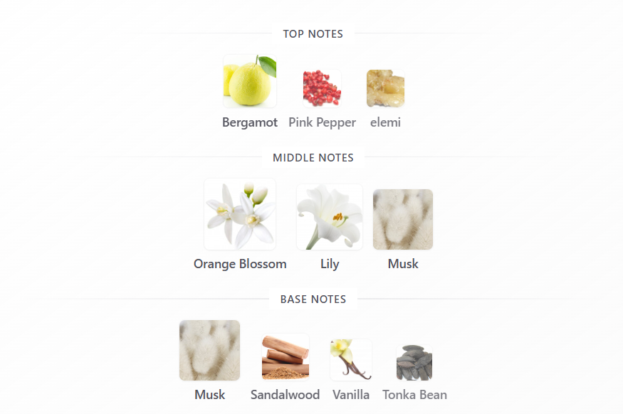Musk 01 by Swiss Arabian – 1ml Sample Decant