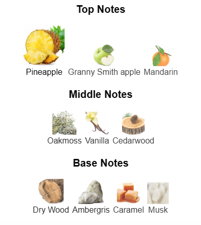 9PM Rebel - 1ml Sample Decant
