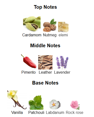 9PM Elixir By Afnan – 1ml Sample Decant