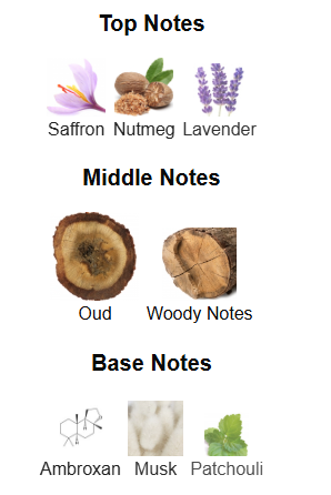 Odyssey Aoud By Armaf - 1ml Sample Decant