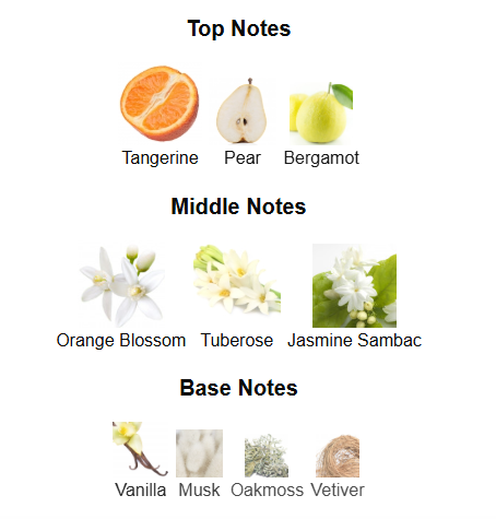 Nexa Musée By Rue Broca - 1ml Sample Decant