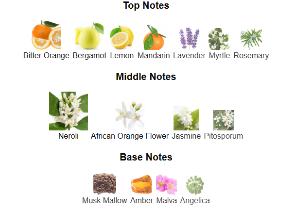 Neroli Riviera By Fragrance World – 1ml Sample Decant