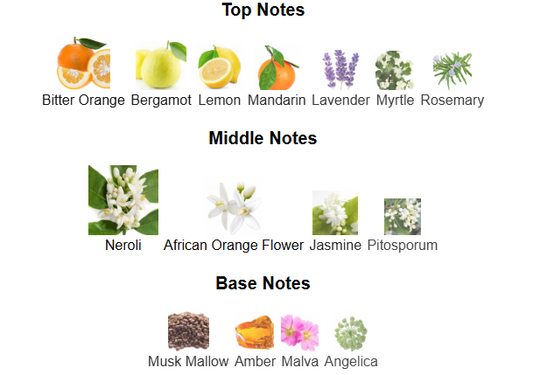 Neroli Riviera By Fragrance World – 1ml Sample Decant