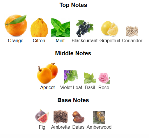 Rare Reef By Afnan - 1ml Sample Decan