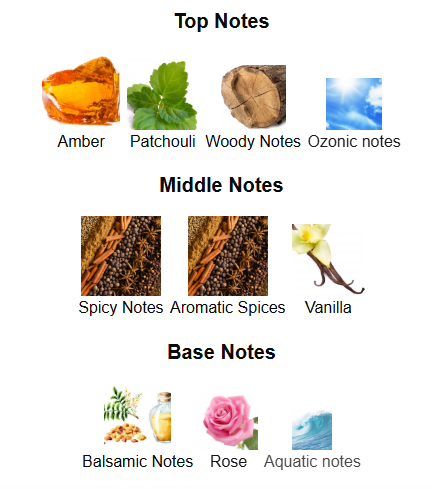 Turathi Brown By Afnan - 1ml Sample Decant