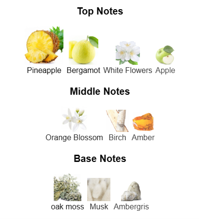 Supremacy Collectors Edition By Afnan – 1ml Sample Decant