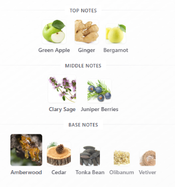 Apollo by Velixir – Sample Decant