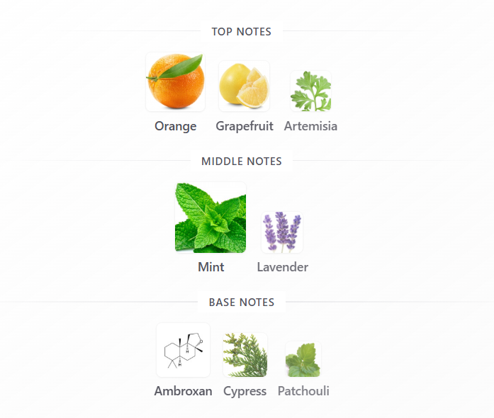 Odyssey Aqua Edition by Armaf – 1ml Sample Decant