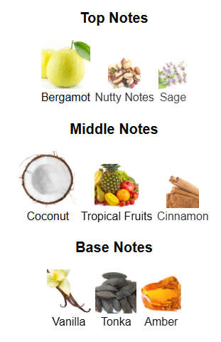 Odyssey Artisto By Armaf - 1ml Sample Decant