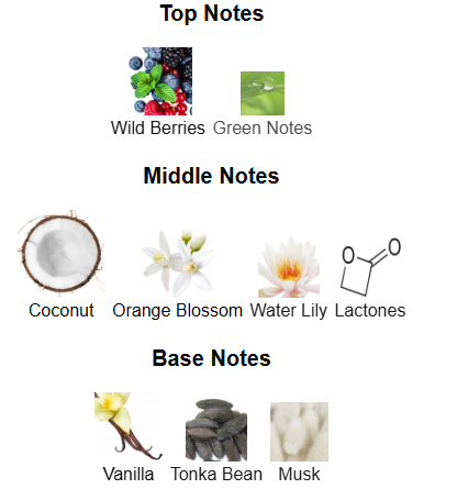 Island Bliss By Armaf – 1ml Sample Decant