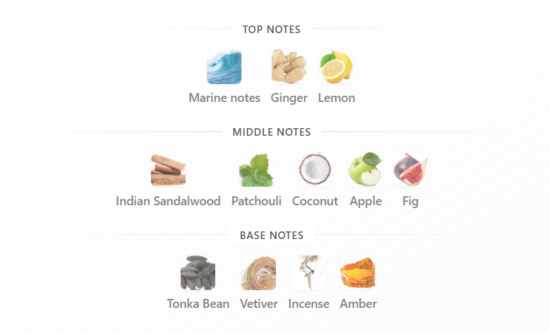 Cloud 9 by Armaf - 1ml Sample Decant