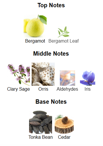 Harmony Code Pour Homme By Fragrance World – 1ml Sample Decant