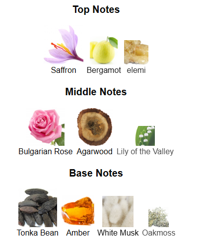 Amber Oud Dubai Night By Al Haramain – 1ml Sample Decant