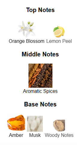 Natural Flame By The Woods Collection – 1ml Sample Decant