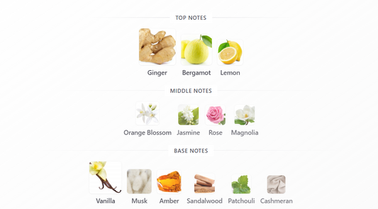 Ravine Ginger by French Avenue – 1ml Sample Decant