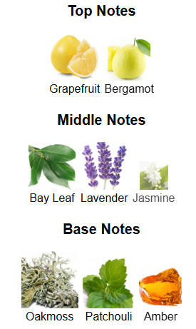 Penthouse Ginza By Rue Broca - 1ml Sample Decant