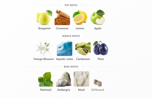Granada by Rayhaan - 1ml Sample Decant