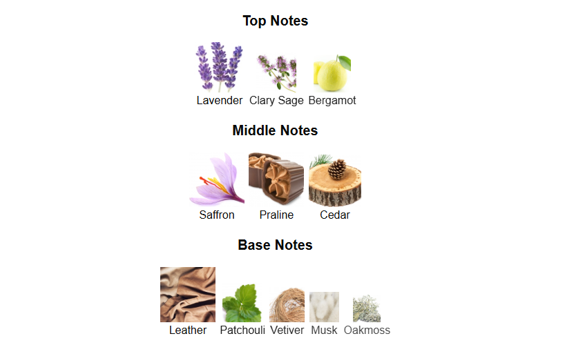 An Equestrian Series Haydan by French Avenue – 1ml Sample Decant