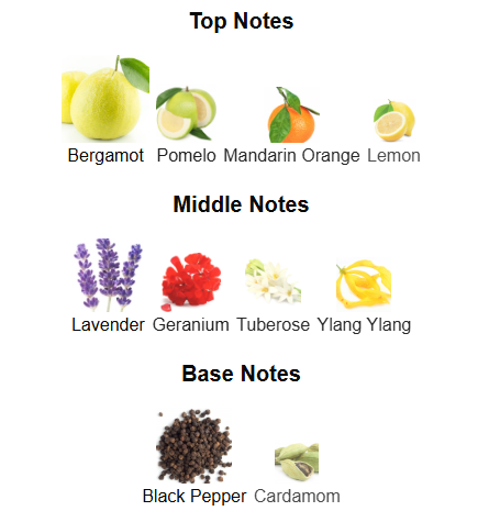 Hunter Intense By Armaf - 1ml Sample Decant