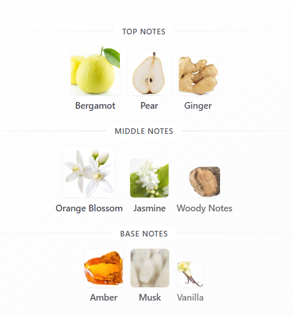 Illusion by Matin Martin - 1ml Sample Decant