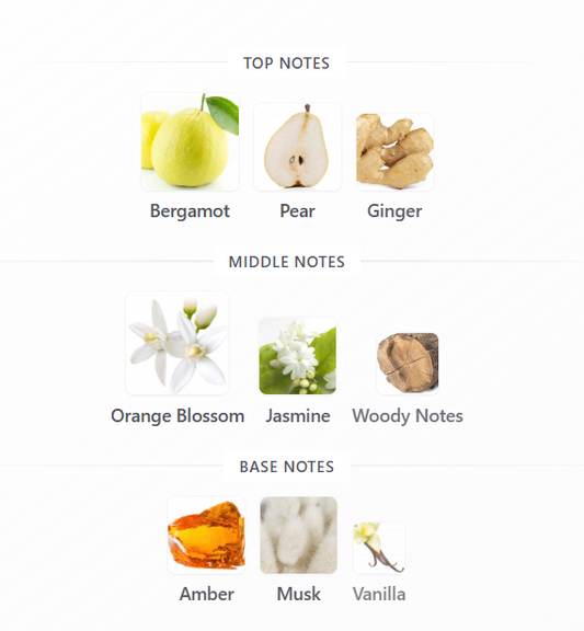 Illusion by Matin Martin - 1ml Sample Decant