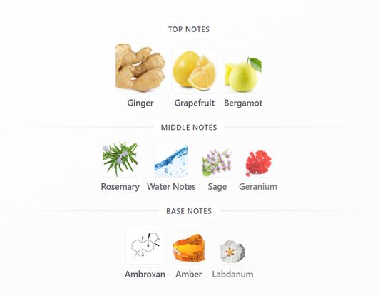 Jean Lowe Immortal by Maison Alhambra - 1ml Sample Decant