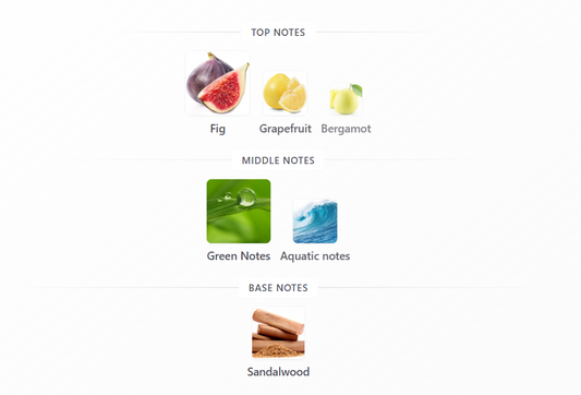 Jungle Vibe by Rayhaan - 1ml Sample Decant