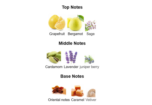 Lynked Freedom by Afnan - 1ml Sample Decant