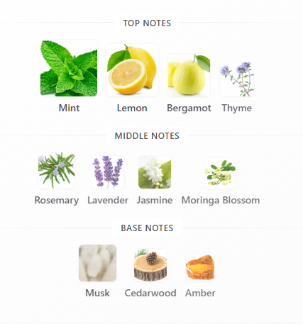 Maahir Honor by Lattafa – Sample Decant