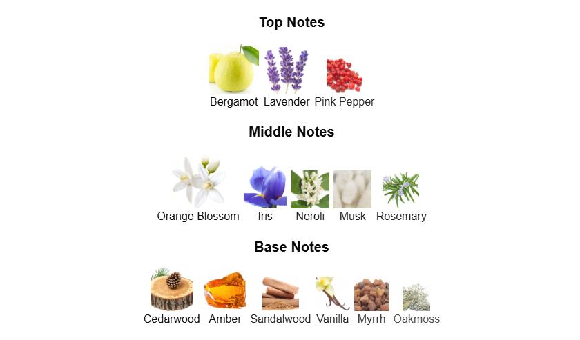 Magnetiq Aromatix by French Avenue – 1ml Sample Decant