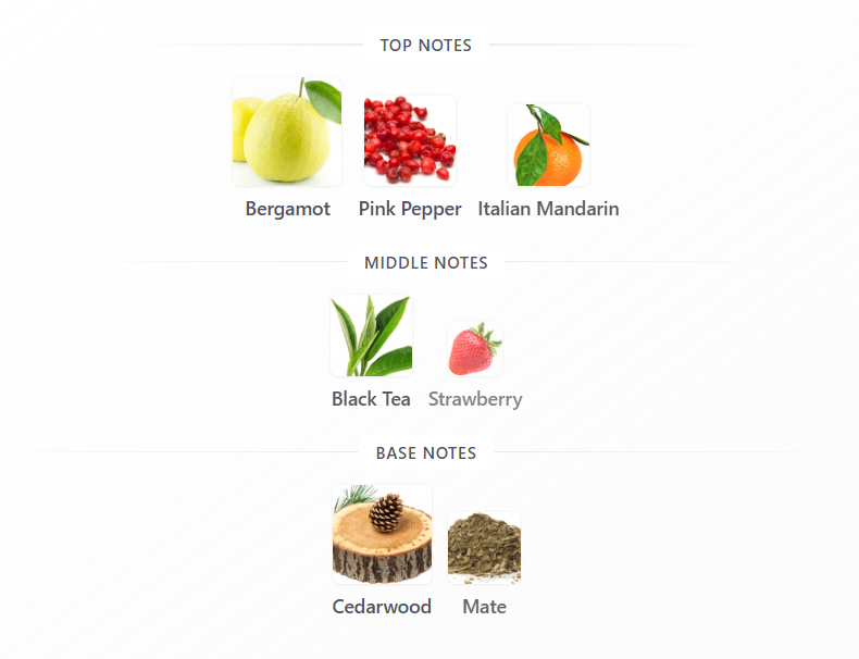 Scentasy Matcha Magix by Armaf - 1ml Sample Decant