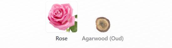 Oud & Roses by Ahmed Al Maghribi – 1ml Sample Decant
