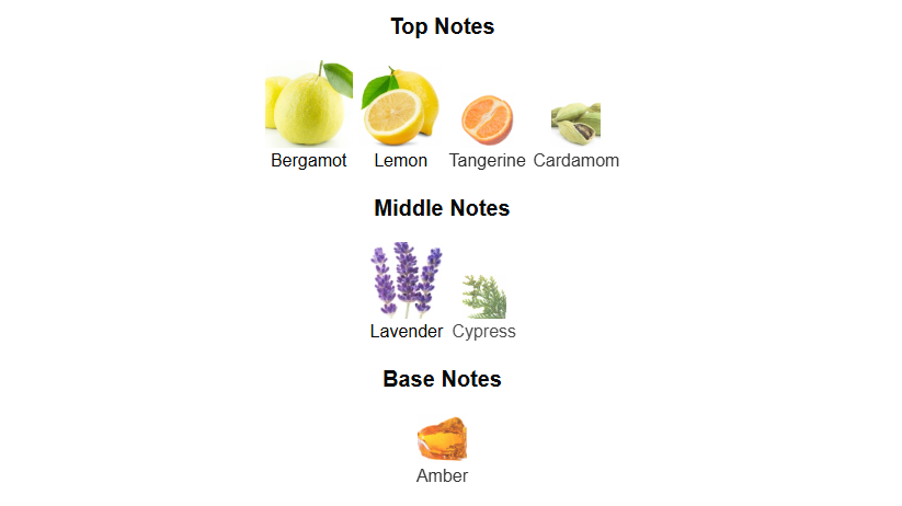 Pacific by Rayhaan – 1ml Sample Decant