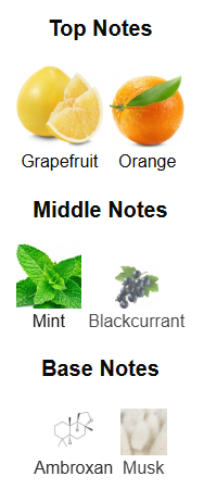 Pinnace French Avenue - 1ml Sample Decant