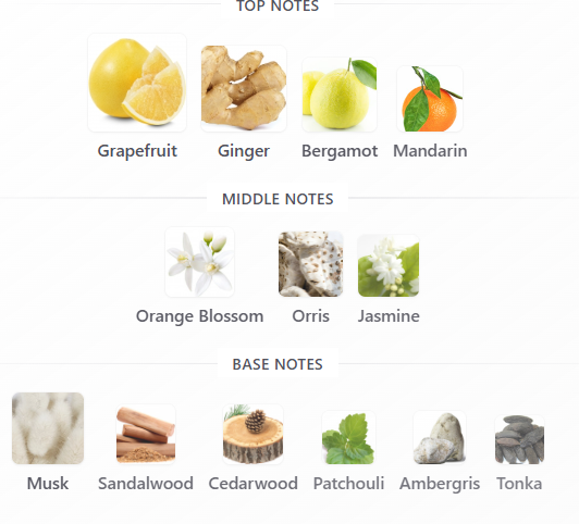 Regent by Maison Asrar – Sample Decant