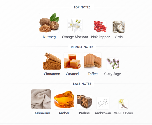 Seasons Rise by Riiffs - 1ml Sample Decant