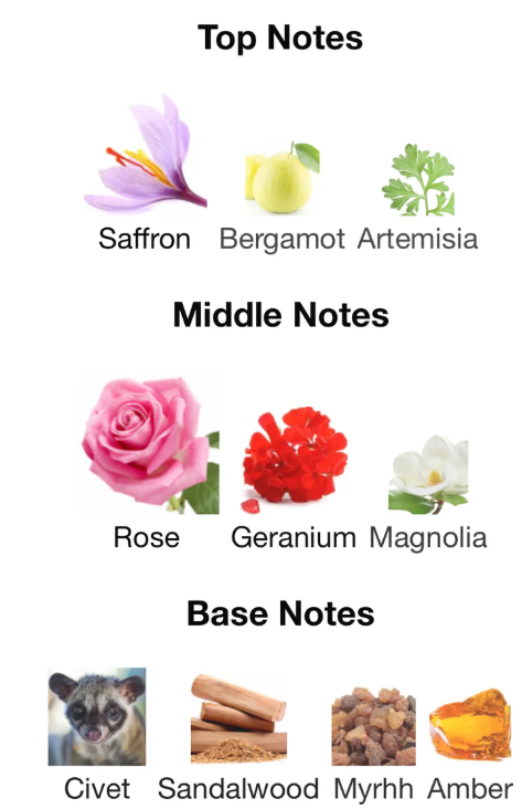 Game of Spades Ruby By Jo Milano - 1ml Sample Decant