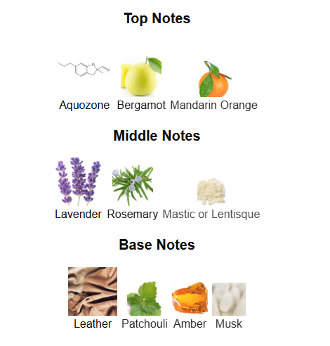 L'Alliance Spirit By Rue Broca - 1ml Sample Decant