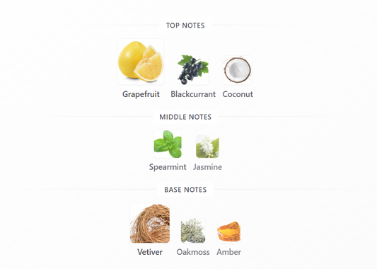 Safari Breeze by French Avenue - 1ml Sample Decant