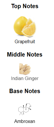 Sceptre Bronzite By Maison Alhambra - 1ml Sample Decant