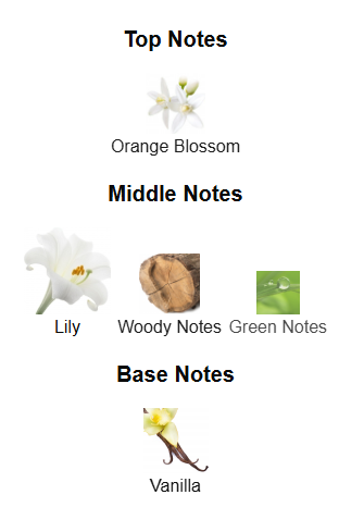 Secret By The Woods Collection – 1ml Sample Decant