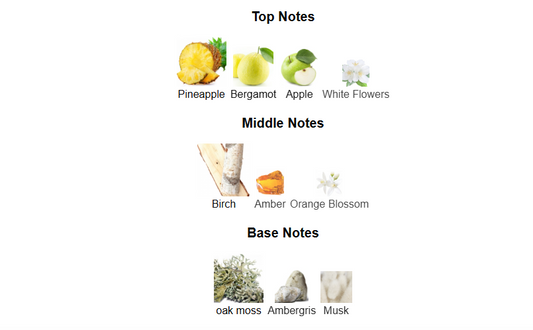 Sharaf The Club by Zimaya – 1ml Sample Decant