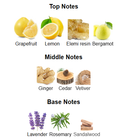 Dark Door Sport By Maison Alhambra – 1ml Sample Decant