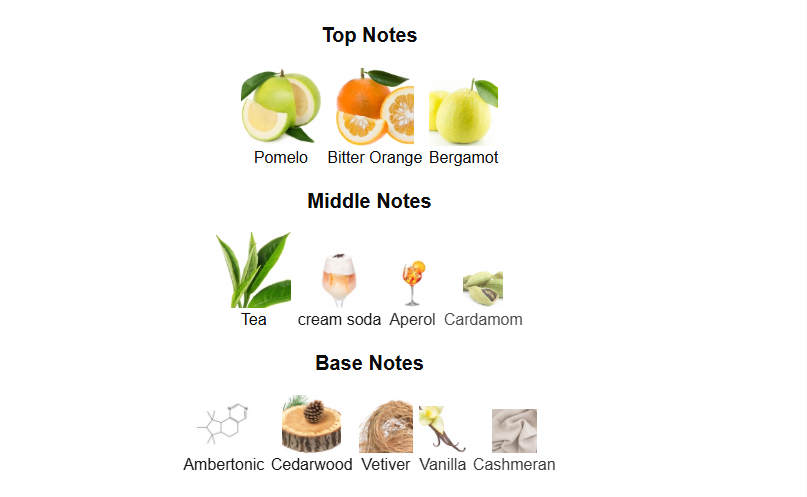 Sun Kissed Aromatix by French Avenue – 1ml Sample Decant