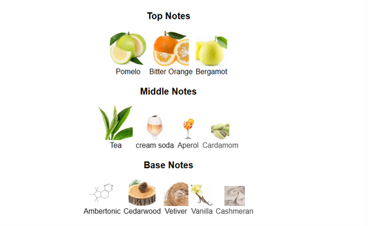 Sun Kissed Aromatix by French Avenue – 1ml Sample Decant